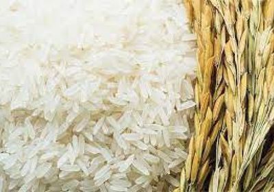 ارتفاع أسعار الأرز في العالم بسبب زيادة الطلب وقيود الهند
