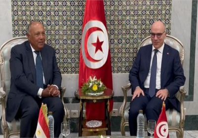 وزير الخارجية التونسي يلتقي نظيره المصري لبحث الملفات الدولية المشتركة