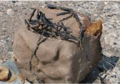 فريق مسام "15" يفكك 5 عبوات ناسفة في عسيلان