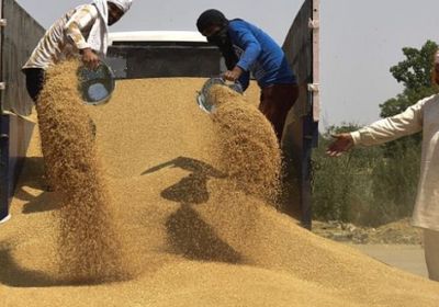 توجه هندي لإلغاء الرسوم على واردات القمح