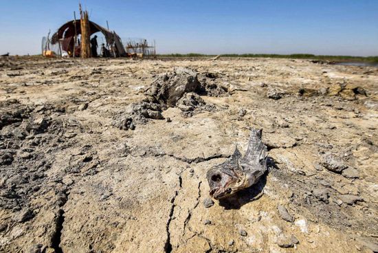 الأمم المتحدة: الجفاف والحرارة في العراق إنذار للعالم أجمع