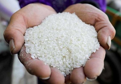 أسعار الأرز عند أعلى مستوى بـ13 عامًا بسبب الجفاف