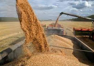 روسيا تتوقع زيادة صادراتها من الحبوب في حالة تحسن الحصاد