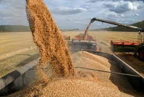 روسيا تتوقع زيادة صادراتها من الحبوب في حالة تحسن الحصاد