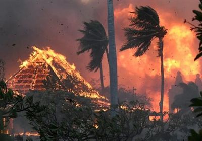 ارتفاع حصيلة ضحايا حرائق غابات هاواي لـ80 شخصاً 