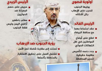 محاربة الإرهاب.. مجابهة جنوبية تتخطى الحدود (إنفوجراف)