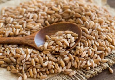 إنتاج محصول الحبوب الأوكراني يزيد 5% عن العام الماضي