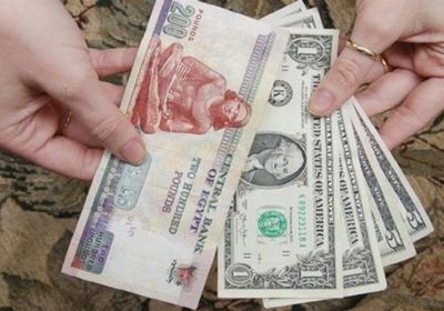 تواصل حالة استقرار الدولار في مصر اليوم الثلاثاء