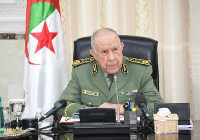 الجيش الجزائري: نرفض التدخلات الأجنبية في القارة الإفريقية