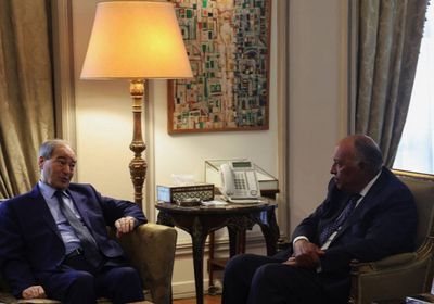 وزير الخارجية السوري يطلع نظيره المصري على مستجدات الأوضاع في البلاد