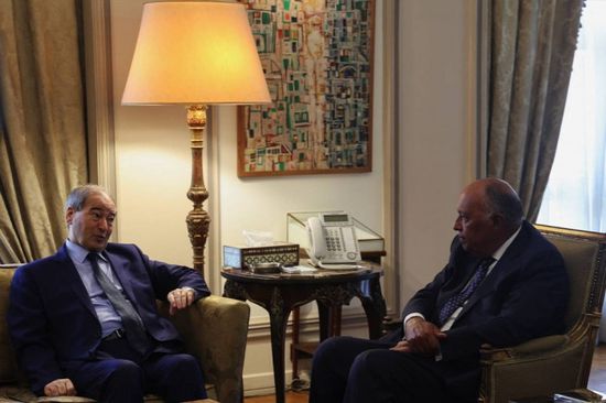 وزير الخارجية السوري يطلع نظيره المصري على مستجدات الأوضاع في البلاد