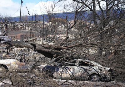 ارتفاع حصيلة ضحايا حرائق الغابات في هاواي لـ99 قتيلا