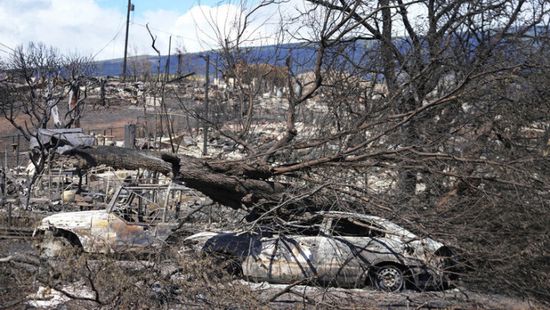 ارتفاع حصيلة ضحايا حرائق الغابات في هاواي لـ99 قتيلا