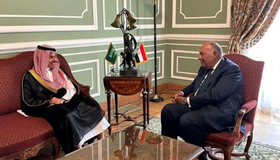 مصر والسعودية تتفقان على استمرار التنسيق لدعم القضايا العربية