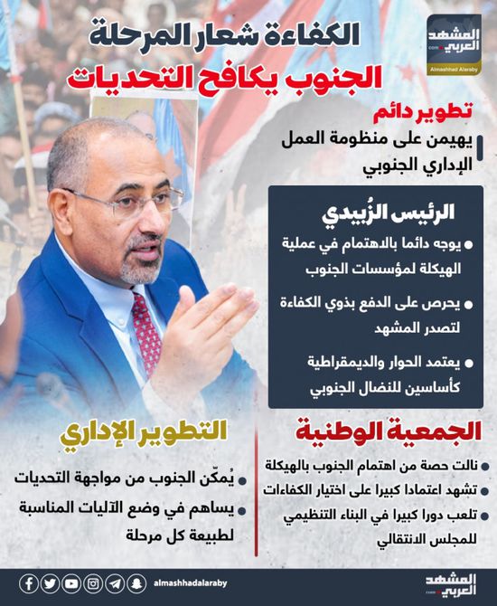 الكفاءة شعار المرحلة.. الجنوب يكافح التحديات (إنفوجراف)