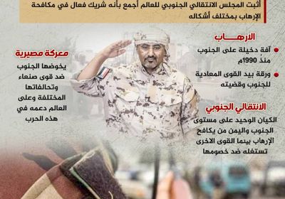 الانتقالي شريك فاعل في محاربة الإرهاب (إنفوجراف)