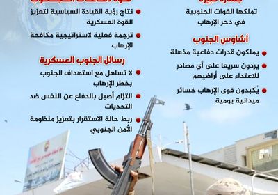 قوة الجنوب الدفاعية.. تحصين للأرض ورسالة لقوى الإرهاب (إنفوجراف)