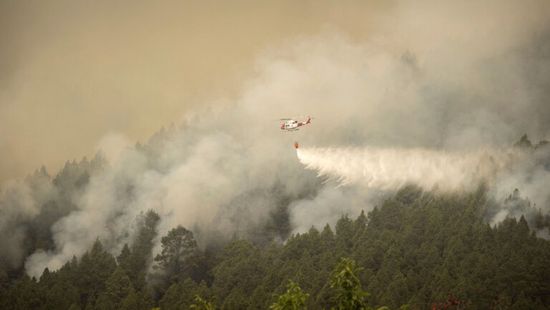 جزر الكناري: اتساع رقعة حرائق الغابات لـ5 آلاف هكتار
