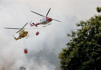 الشرطة الإسبانية: حرائق جزيرة تينيريفي متعمدة