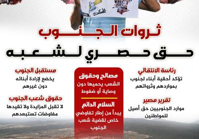 ثروات الجنوب حق حصري لشعبه (إنفوجراف)