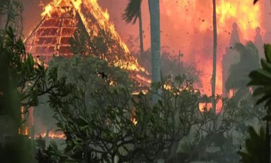 مصرع 114 شخصا وفقدان 850 آخرين جراء حرائق غابات هاواي