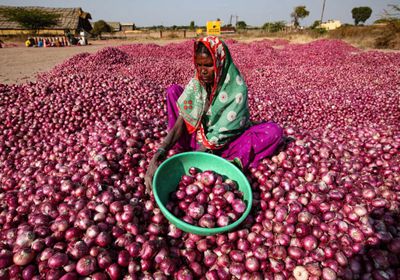 الهند تفرض ضريبة على صادرات البصل لمواجهة التضخم