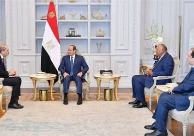 مصر والأردن تؤكدان أهمية تكثيف الجهود الدولية لتسوية القضية الفلسطينية