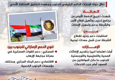 بدعم إماراتي.. الجنوب نحو الاستقرار الأمني (إنفوجراف)