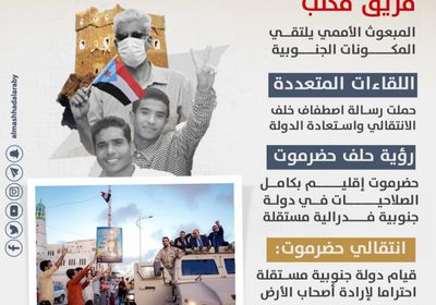 مكونات الجنوب.. رؤية موحدة لاستعادة الدولة (إنفوجراف)