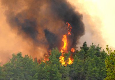 حريق غابات ضخم في شمال غرب تركيا