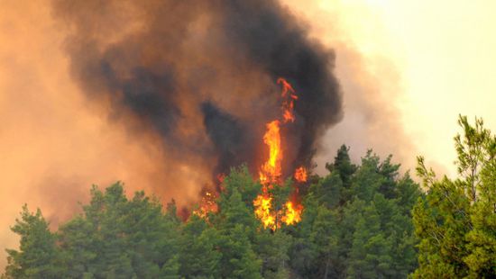 حريق غابات ضخم في شمال غرب تركيا