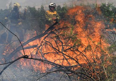السيطرة على حريق غابات ضخم في إسبانيا