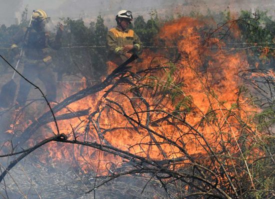 السيطرة على حريق غابات ضخم في إسبانيا