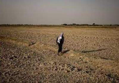 لهذا السبب.. العراق يخسر 82ألف دونم زراعي