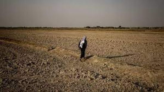 لهذا السبب.. العراق يخسر 82ألف دونم زراعي