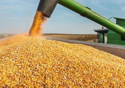 ارتفاع أسعار فول الصويا تأثرا بالظروف الجوية