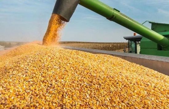 ارتفاع أسعار فول الصويا تأثرا بالظروف الجوية