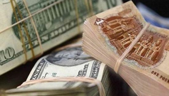 ثبات سعر الدولار في مصر بتداولات اليوم السبت