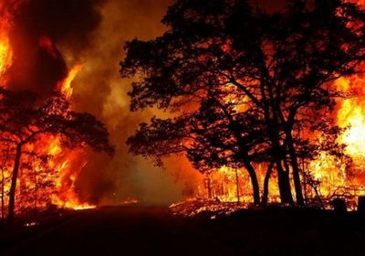 حرائق هاواي تخلف خسائر بين 4 و6 مليارات الدولارات