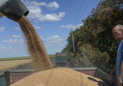 حصاد نحو 22 مليون طن قمح في أوكرانيا