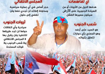 شعب الجنوب السيد على أرضه (إنفوجراف)