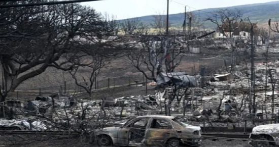 مقاطعة ماوي تقاضي شركة كهرباء هاواي بسبب الحرائق