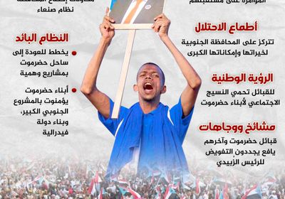 قبائل حضرموت تجدد التفويض (إنفوجراف)