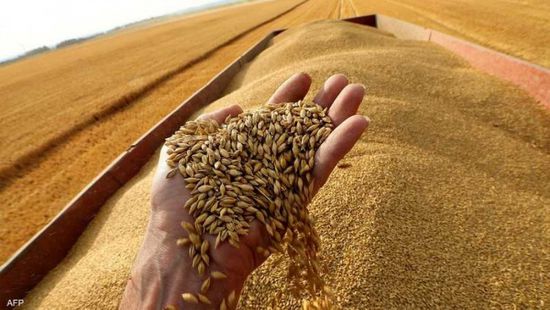 أوكرانيا تصدر 4.2 مليون طن حبوب بالموسم الحالي