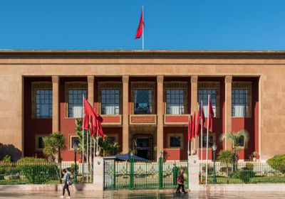 أزمة في المغرب بسبب الأفوكادو