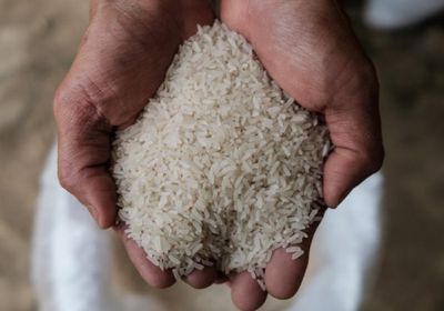 الهند تسمح بتصدير الأرز إلى 3 دول آسيوية