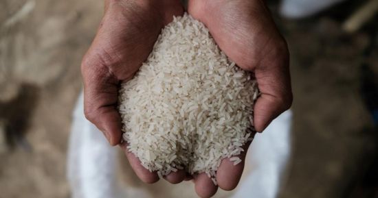 الهند تسمح بتصدير الأرز إلى 3 دول آسيوية