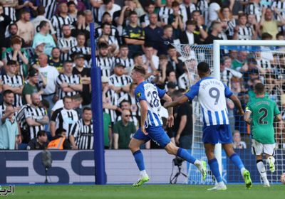 ثلاثية فيرجسون تقود برايتون للفوز على نيوكاسل