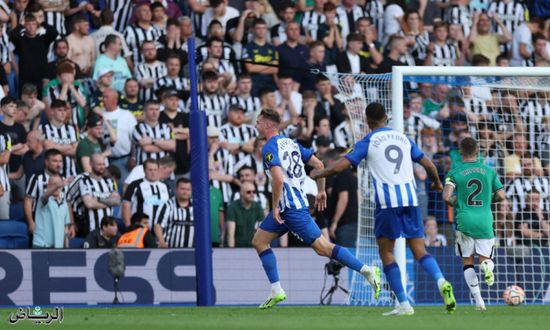 ثلاثية فيرجسون تقود برايتون للفوز على نيوكاسل