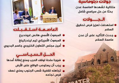 حراك سياسي في عدن.. عاصمة الحل (إنفوجراف)